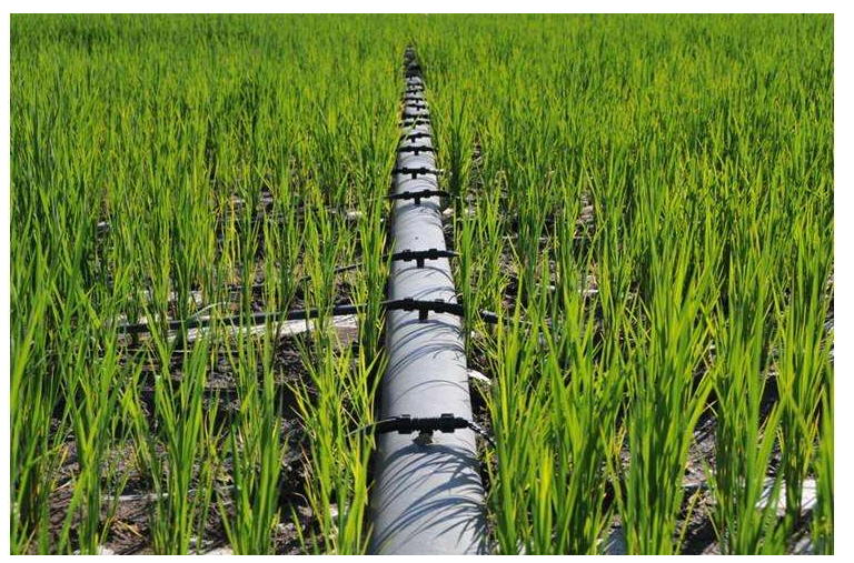 重慶節(jié)水灌溉